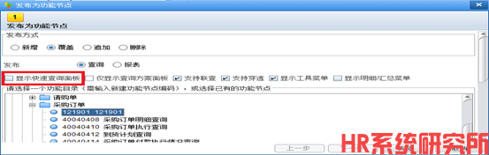 报表设计时预览可以查询，发布节点后报无查询模板(图16)